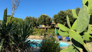 agriturismo maremma mit pool