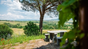 ferienhaus la casina urlaub auf dem weingut toskana maremma ausblick von der unterkunft