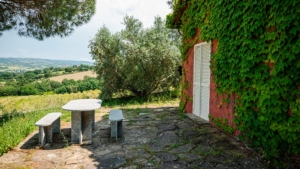 ferienhaus la casina urlaub auf dem weingut toskana maremma terrasse