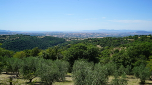 Ferienhaus Perucci Ausblick