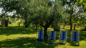 ferienhaus sasso bianco garten