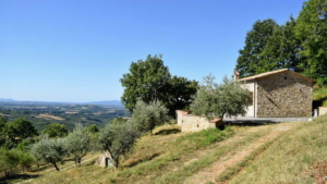 Ferienhaus Toskana Traumlage