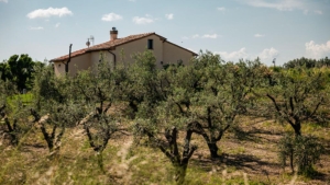 ferienhaus leformiche alleinlage mit grossem garten