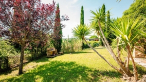 ferienhaus olivo im landesinneren gemeinschaftspool garten