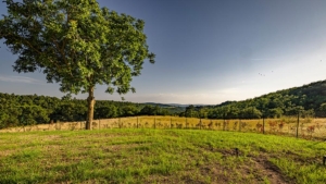 ferienunterkuenfte in der toskana bilder natur