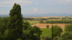 Ferienwohnung Torre Di Poggialberi Ausblick