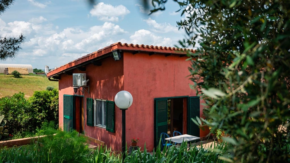 ferienwohnung il pino urlaub auf dem weingut toskana die unterkunft