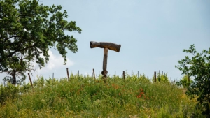 ferienwohnung il pino urlaub auf dem weingut toskana flaschenoeffner aus holz