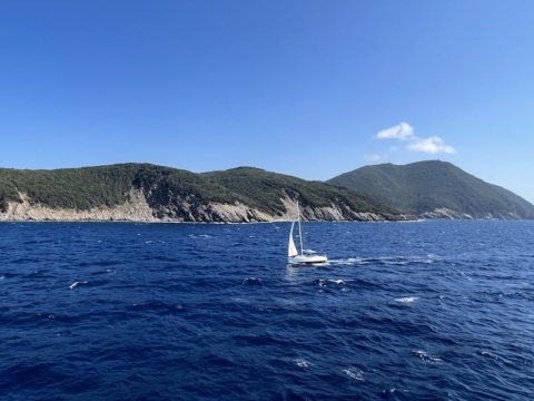 insel elba urlaub in der toskana