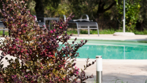 landhaus pitigliano pool