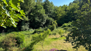 mühle in der toskana la cocceria blick ins gruene