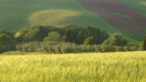 Natur Pur Toskana