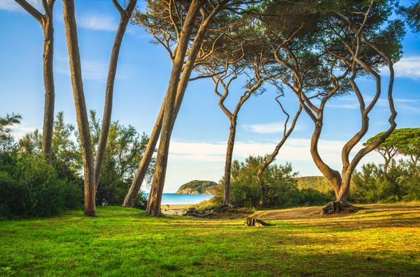 strand piombino 1