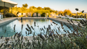 traumurlaub in umbrien