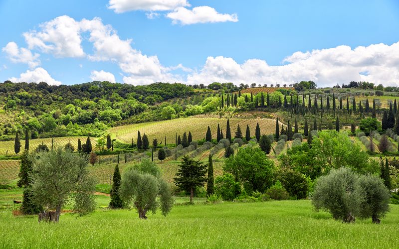 tuscany landscape