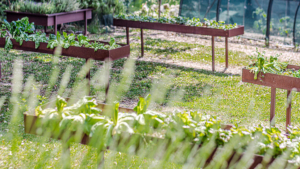 villa cerbaina mit bio garten