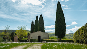 villa san gimignano toskana zypressen