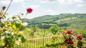 villa lupinaio alleinlage mit pool landschaft