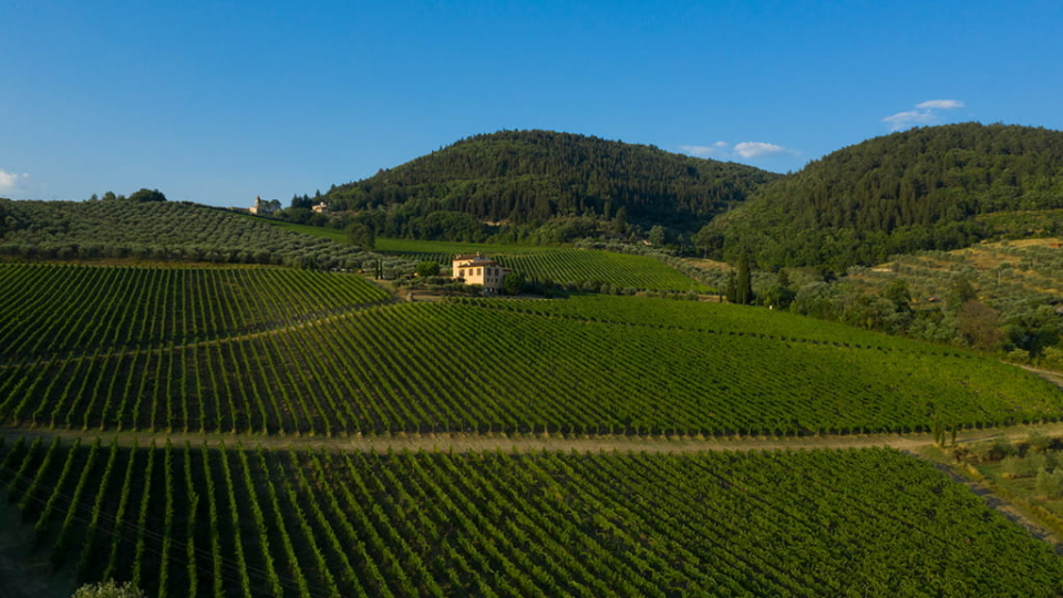 weingut in der toskana