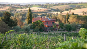 weingut maremma toskana